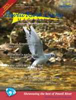 April 2008 issue
