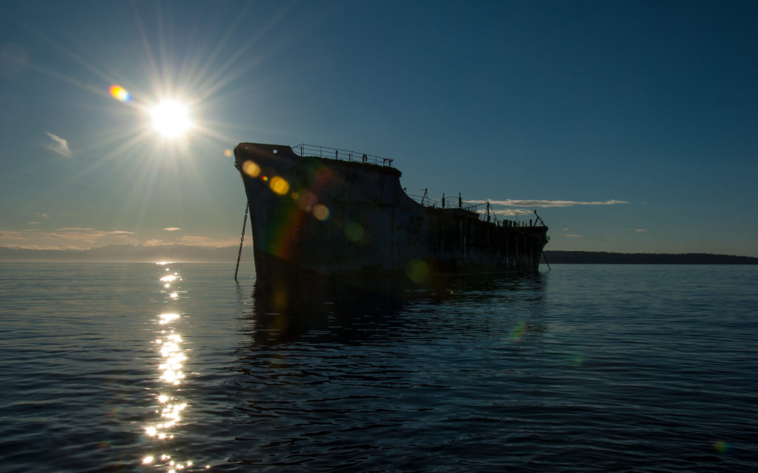 That sinking feeling – Hulks finally to become artificial reefs