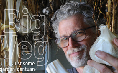 qathet Living September 2025 issue